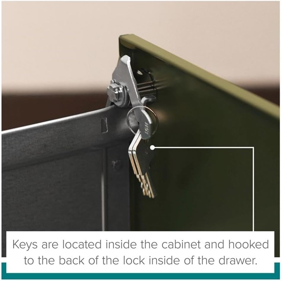 Pemberly Row 2 Drawers 26.7" Vertical Black Metal Filing Cabinet Lockable Pre-Assembled Stationary Letter Size for Home, Office