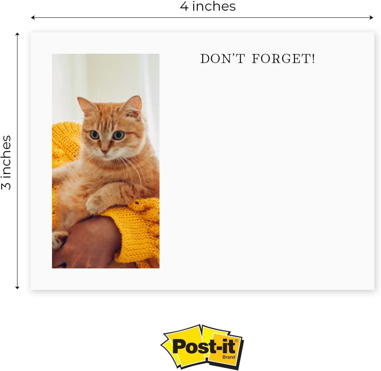 Personalized Photo Sticky Note Pads / 4" x 3" Repositionable Custom Sticky Notes / 50 Sheets Per Pad/Set of 6 / Made in USA