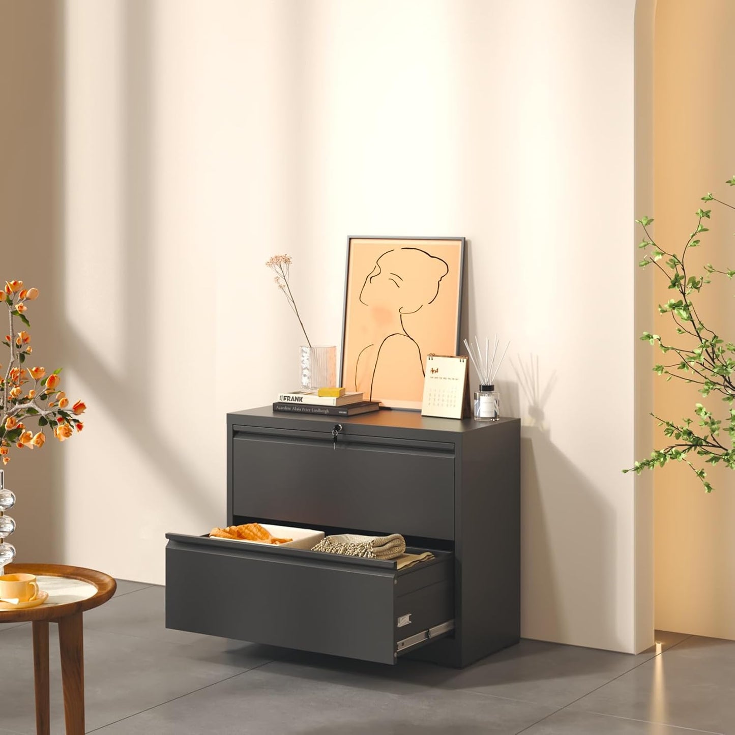 2 Drawer Lateral File Cabinet, Metal Lateral Filing Cabinet for Home Office, Filing Cabinets for Letter/Legal/A4/F4 Hanging Files (Black)