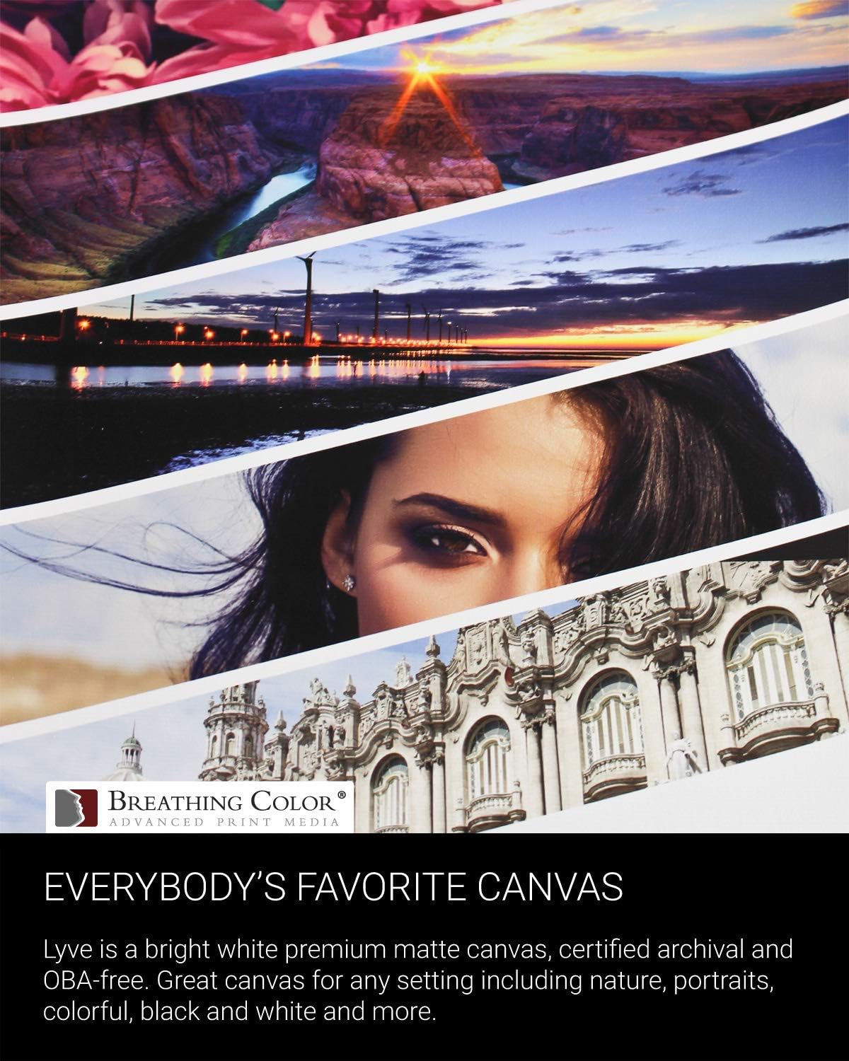 Premium Lyve Matte Canvas Paper Perfect For Use on Professional Makes and Models of Epson, Canon and HP printers preferred by Professionals. 19 mil textured Canvas offered in a 50 inch by 40 ft roll