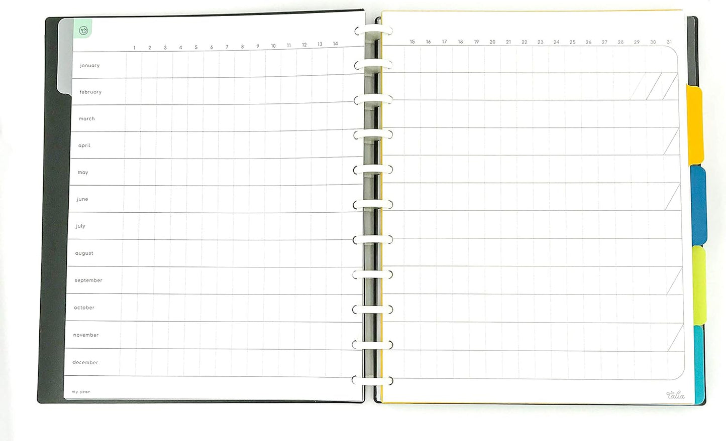 Talia Discbound Notebooks, Planner, Customizable, (Clear, Letter (8.5in x 11in))