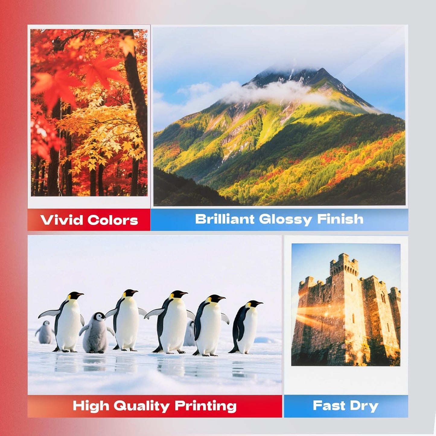 60 Sheets Heavyweight Inkjet Glossy Photo Paper 11 x 17 inch 65lb 250gsm for Obituary Bulletin Gallery Show Thick for A3 Size Dye Ink Printers