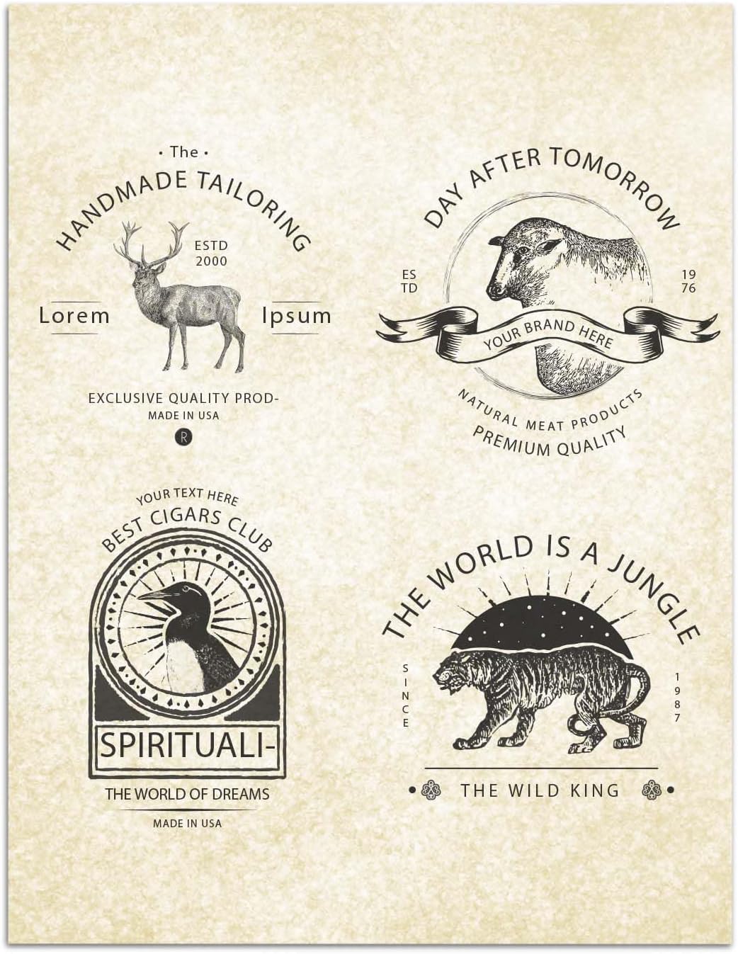 Parchment Paper for Certificates - Stationary for Resumes, Diplomas, Letter Size Certificate, 100 Sheets Double-Sided, 100gsm, 8.5" x 11" for Printing