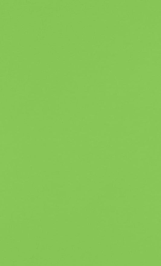 LUXPaper 8.5" x 14" Paper | Legal Size | Limelight Green | 80lb. Text | 50 Qty