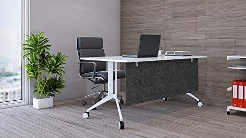 OBEX Modesty Desk PET Privacy Screen Acoustic Sound Absorbing Panel Ideal for Reception, Student Table or Office Cubicles Workstations, 24" x 48, Shadow
