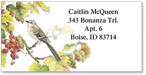 Colorful Images Songbirds Return Address Mailing Labels, Personalize with Name & Addresses, Set of 144 Self Adhesive, Easy Peel Flat Label Sheets, 1 ⅛ x 2 ¼”, 6 Designs
