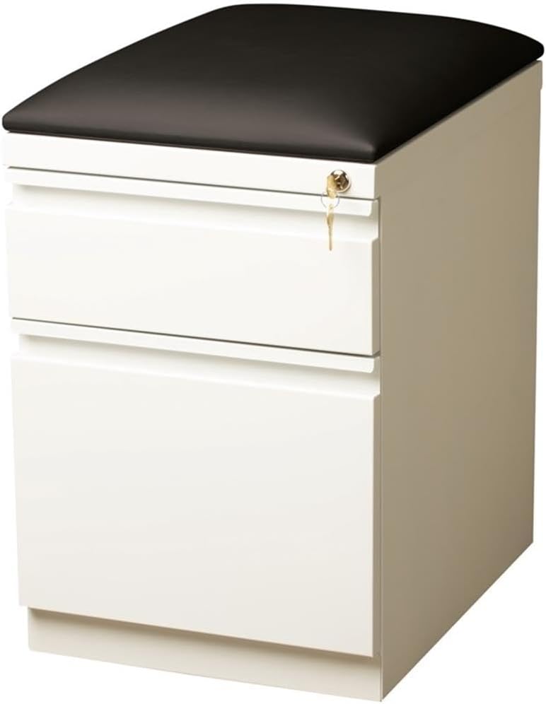 Pemberly Row 2-Drawer Metal Mobile Pedestal File Cabinet in White/Black