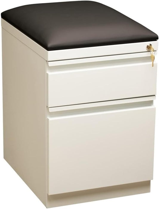 Pemberly Row 2-Drawer Metal Mobile Pedestal File Cabinet in White/Black