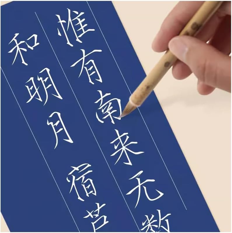 MEGREZ Colored Ink Liquid Sumi Ink, Copying Ink for Chinese Painting Drawing Writing and Brush Calligraphy, Specialized Ink for Detailed Artwork, White