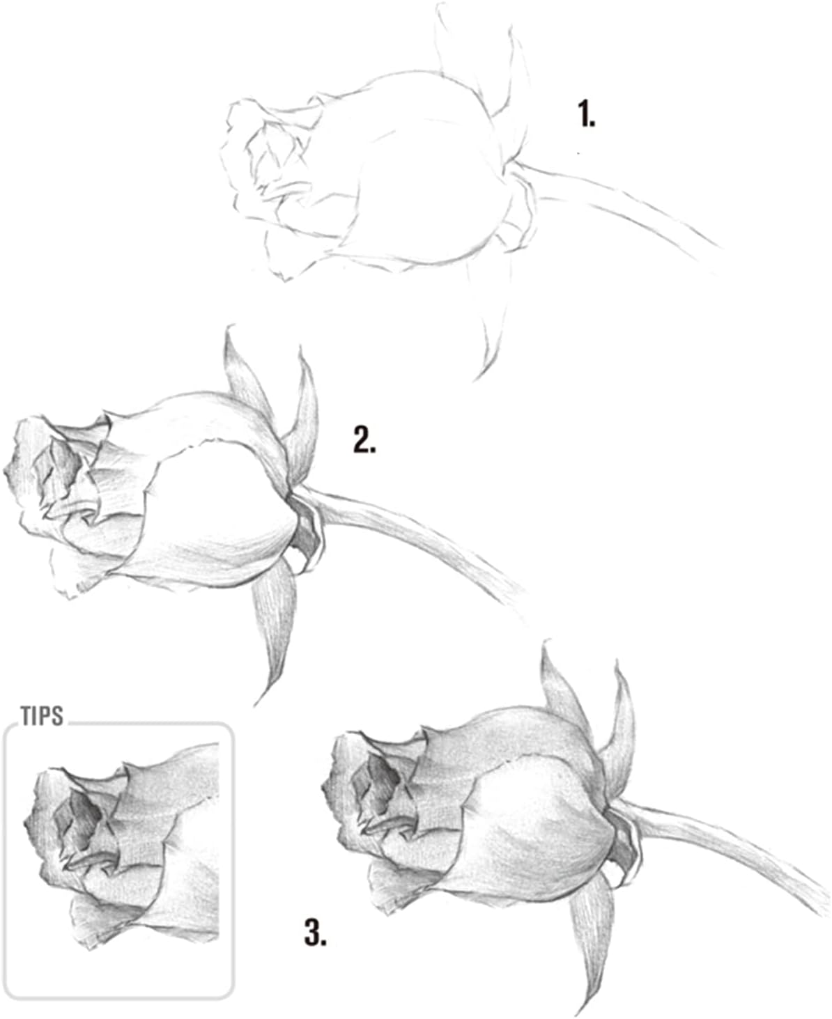 Heshengping Drawing Pencils Sketch Pencil Art Supplies Set for Kids Adults beginners Professional Sketching Art Graphite Charcoal Blending Stump Pencils kit