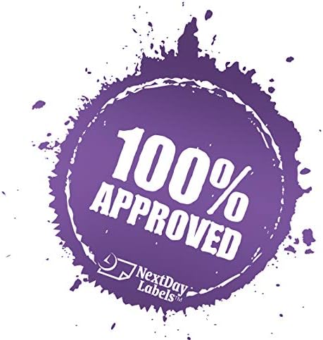 NextDayLabels - Blank Hologram Premium Laser Computer Checks, High-Security Check Paper with 3 Colors: Blue, Red, and Green. Check on top with Perforated vouchers. (Pack of 500 Checks)