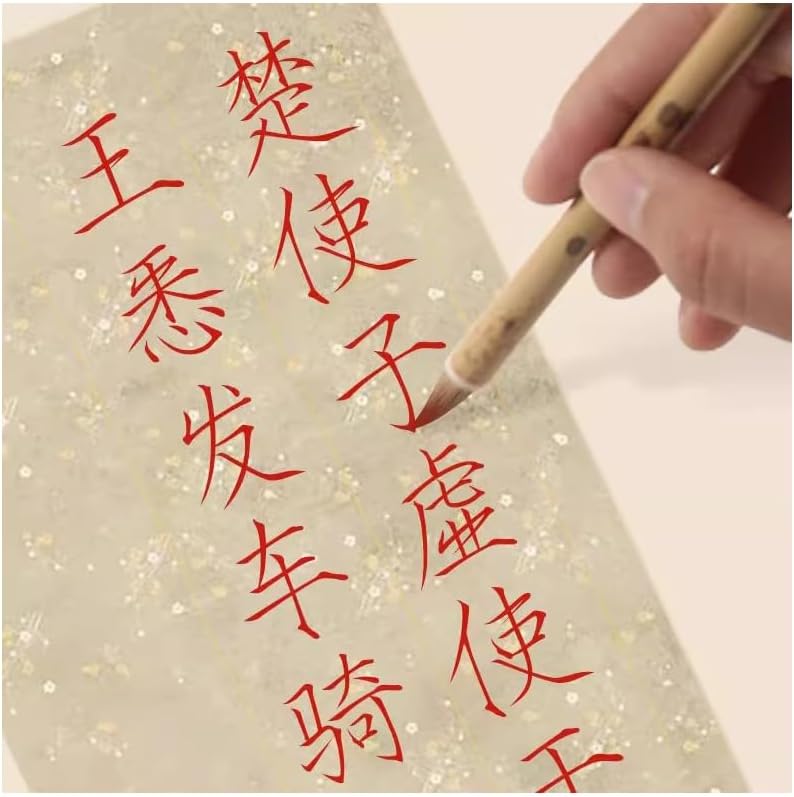 MEGREZ Colored Ink Liquid Sumi Ink, Copying Ink for Chinese Painting Drawing Writing and Brush Calligraphy, Specialized Ink for Detailed Artwork, Red