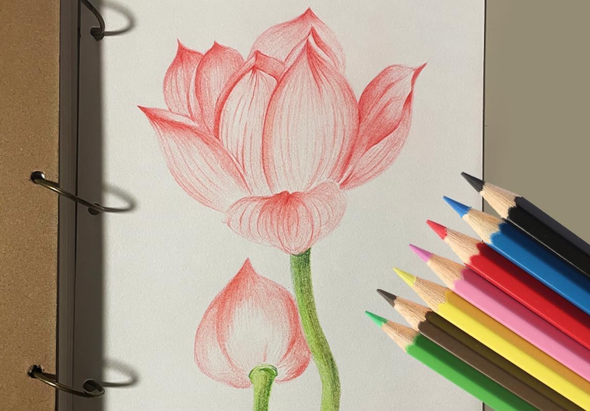 SKKSTATIONERY 144Pcs Colored Pencils, Pre-sharpened, coloring pencils for adults kids Bulk Back to School Supplies For Teachers 12 Colors, 12pcs/box, Total: 144Pcs.