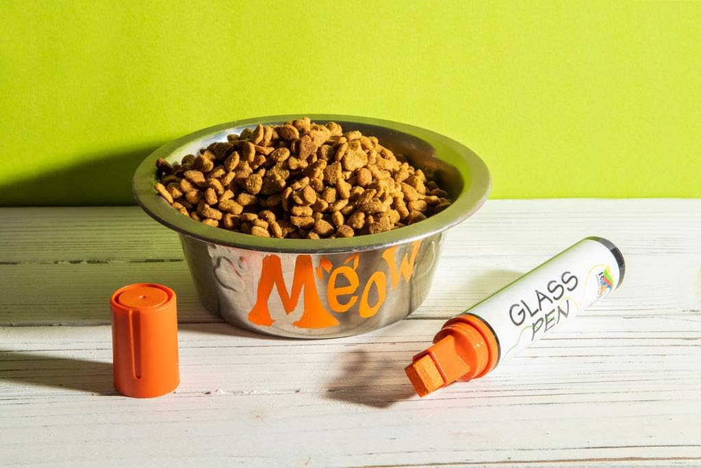 Glass Pen Window Marker: Liquid Chalk Pens for Glass, Whiteboard Markers with Washable Paint - Graduation, Car Windows, Mirror Pen, Storefront, Wedding, Parade, Party & Holiday (Orange, Jumbo Tip)