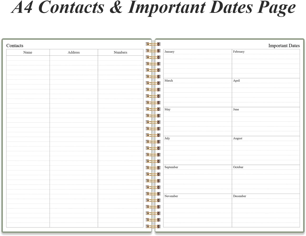 Daily Planner Undated - A4 To Do List Notebook Hourly Schedules, Spiral Appointment Planner for Women and Men,PVC Hardcover, Inner Pocket, Elastic Closure, 8.5" x 11", Green