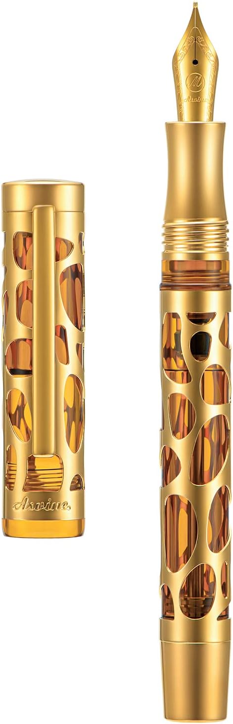 Asvine V169 Vacuum Filling Fountain Pen Iridium Fine Nib, Water Drop Skeleton Gold Trim Transparent Coffee Acrylic Pen Case Set