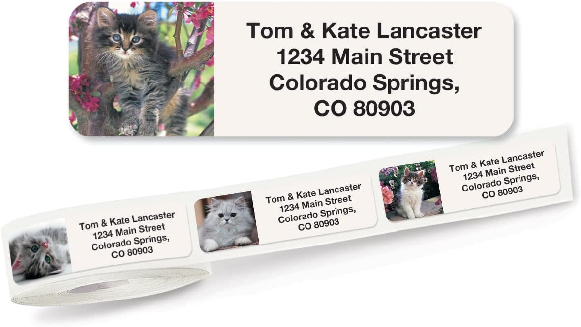 Cute Kittens Rolled Personalized Return Address Mailing Labels with Dispenser, Set of 250, 5 Designs, Small ¾ x 2½ Inch Size, Custom Self-Adhesive Sticker Roll, by Colorful Images