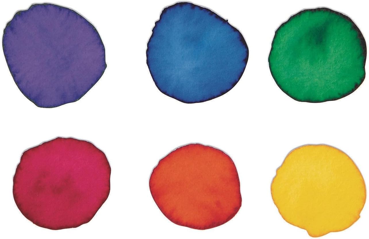 S&S Worldwide Color Splash! Liquid Watercolor Paint, 6 Vivid Colors, 8-oz Flip-Top Bottles, for All Watercolor Painting, Use to Tint Slime, Clay, Glue, Shaving Cream, Non-Toxic. Pack of 6.
