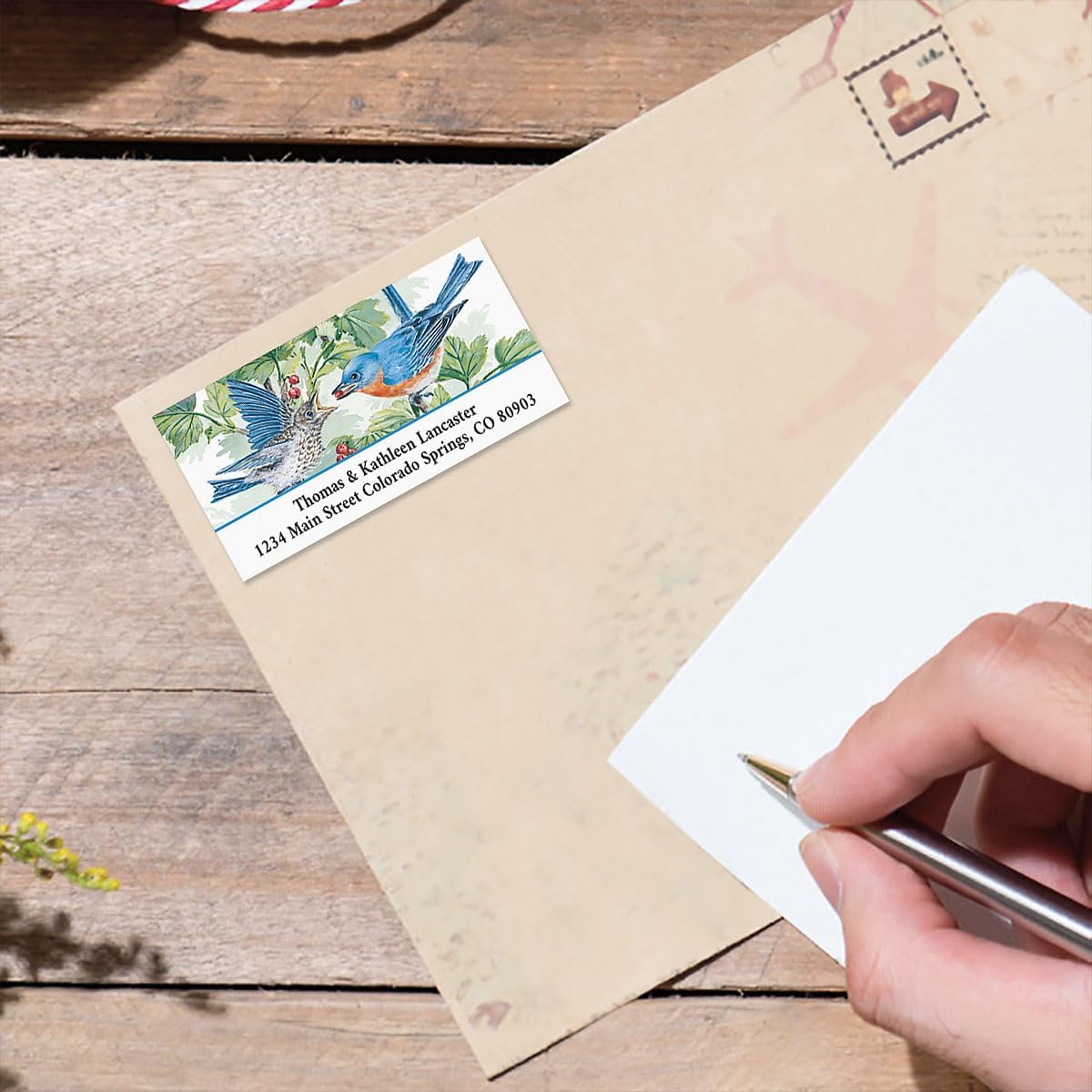 Colorful Images Garden Friends Birds Return Address Mailing Labels, Personalize with Name & Addresses, Set of 144 Self Adhesive, Easy Peel Flat Label Sheets, 1 ⅛ x 2 ¼”, 6 Designs