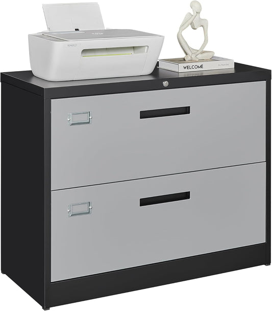 Letaya File Cabinet with Lock-Lateral 2 Drawer Metal Filing Cabinets-Organization Storage Cabinets for Home Office-Hanging Letter/Legal/F4/A4 Size (2 Drawer-Grey Black)