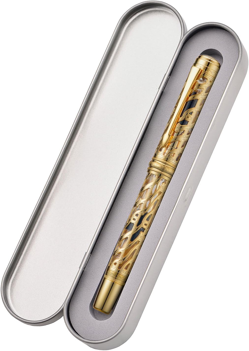Hongdian A6 Piston Fountain Pen Extra Fine Soft Nib, Golden Hollow Skeleton & Transparent Resin Pen with Metal Case Set