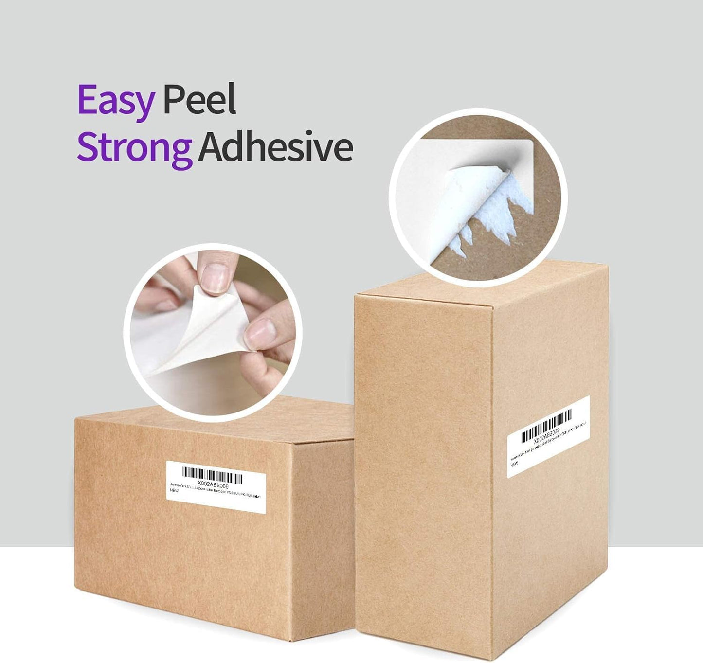 AveneMark 24 Rolls 2" x 1" Direct Thermal Labels for Barcodes Postage Address Shipping Labels Compatible with Rollo & Zebra Desktop Printers Adhesive - 1300 Labels/Roll