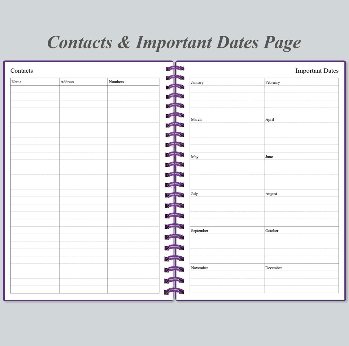 Daily Planner Undated - A5 To Do List Notebook Hourly Schedules, Spiral Appointment Planner for Women and Men, PVC Hardcover, Inner Pocket, Elastic Closure, 5.8" x 8.3", Purple