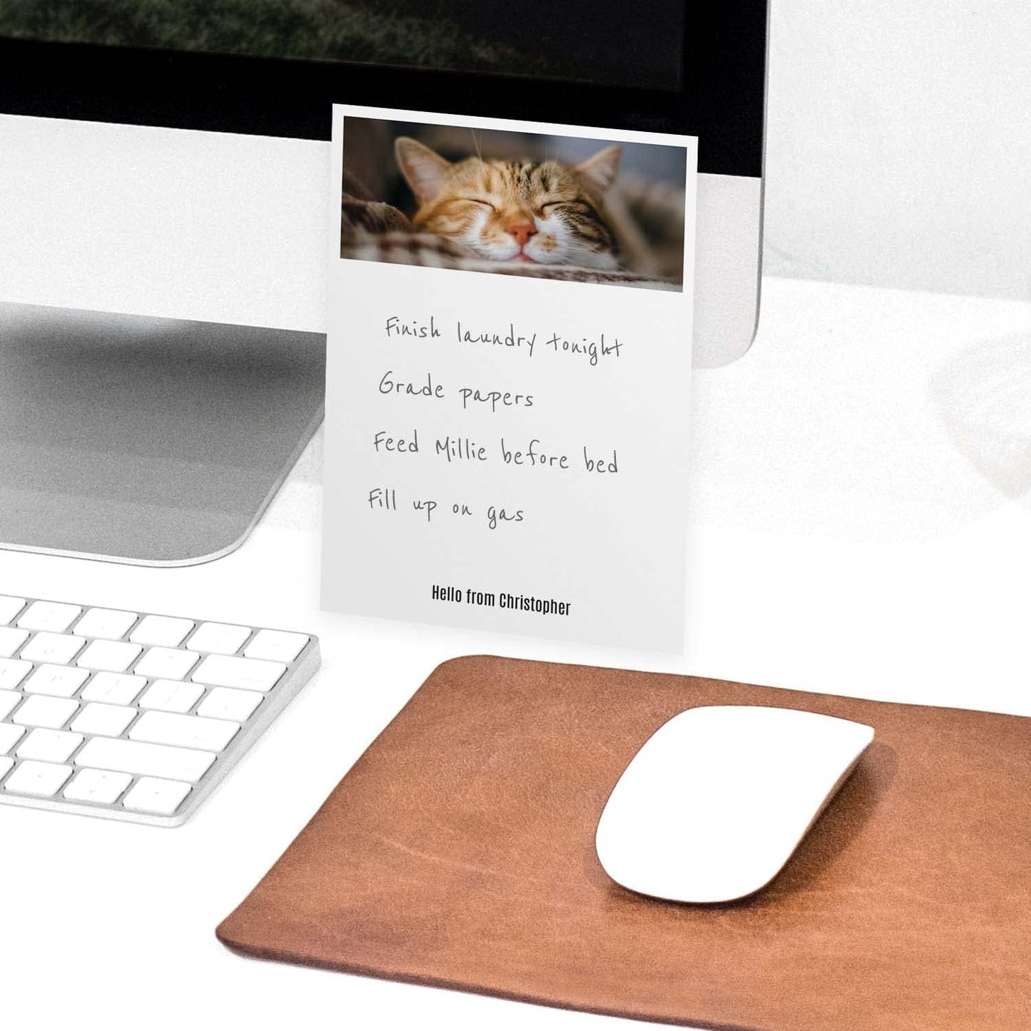 Personalized Photo Sticky Note Pads / 4" x 6" Repositionable Custom Sticky Notes / 50 Sheets Per Pad/Set of 3 / Made in USA