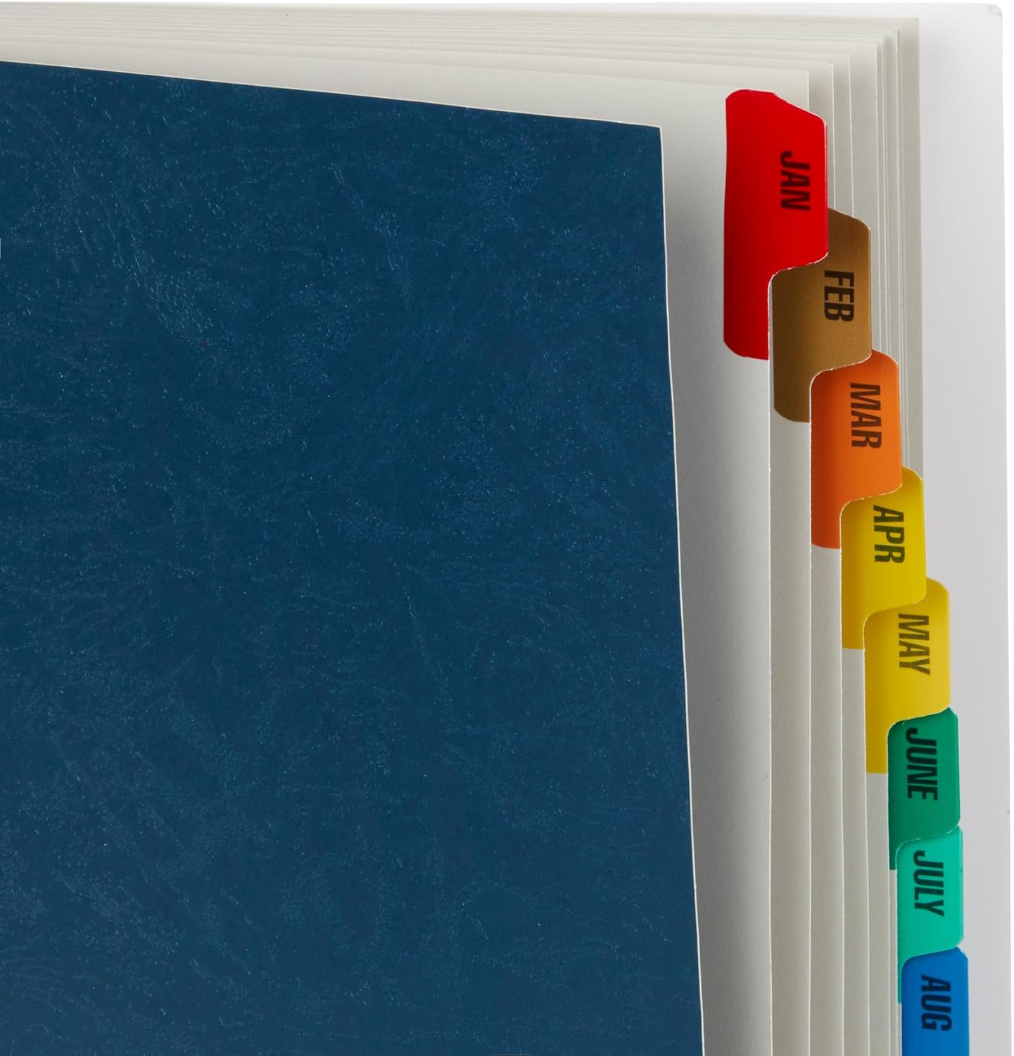 Blue Summit Expanding Monthly File Organizer, Letter Size 12 Month File Folder Organizer with Dividers, Paper Sorter for Desk and Documents