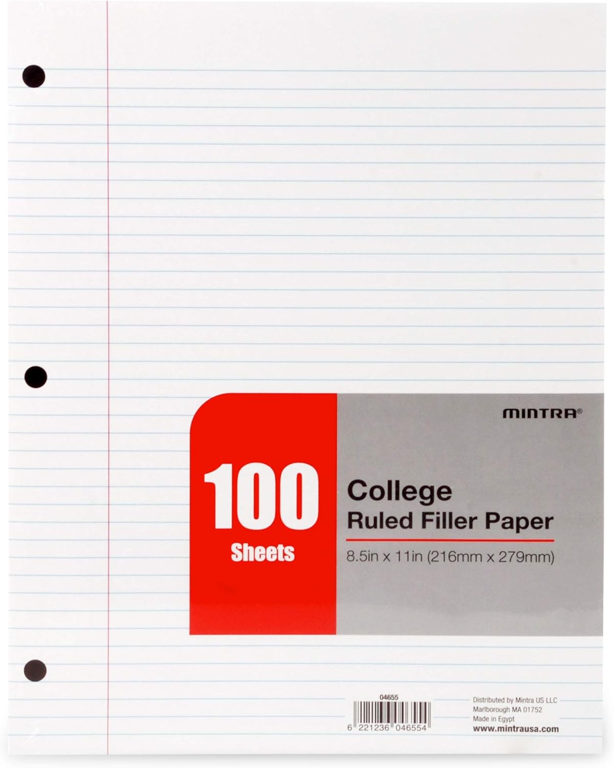 Mintra Office Filler Paper (College Ruled, 600 Sheets (6pks of 100)) - for 3-Ring Binder, Notepaper, Loose leaf filler paper, punched, bulk pack