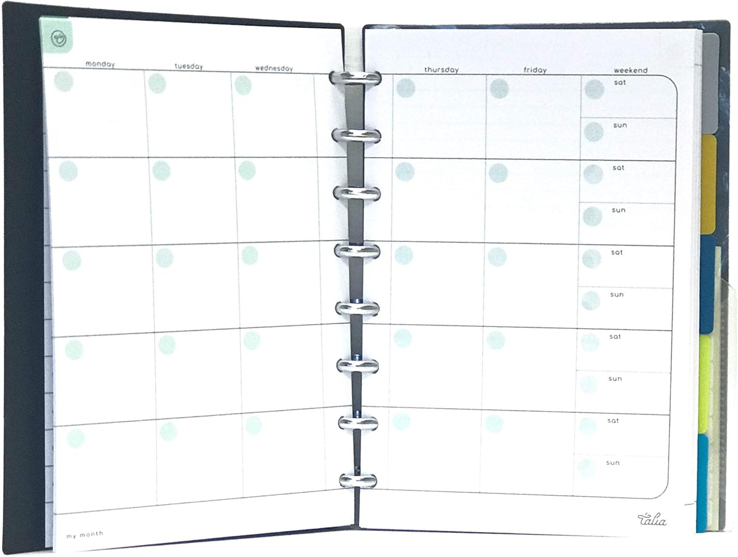 Talia Discbound Notebooks, Planner, Customizable, (yClear w/Silver Discs, Junior (5.5in x 8.5in))