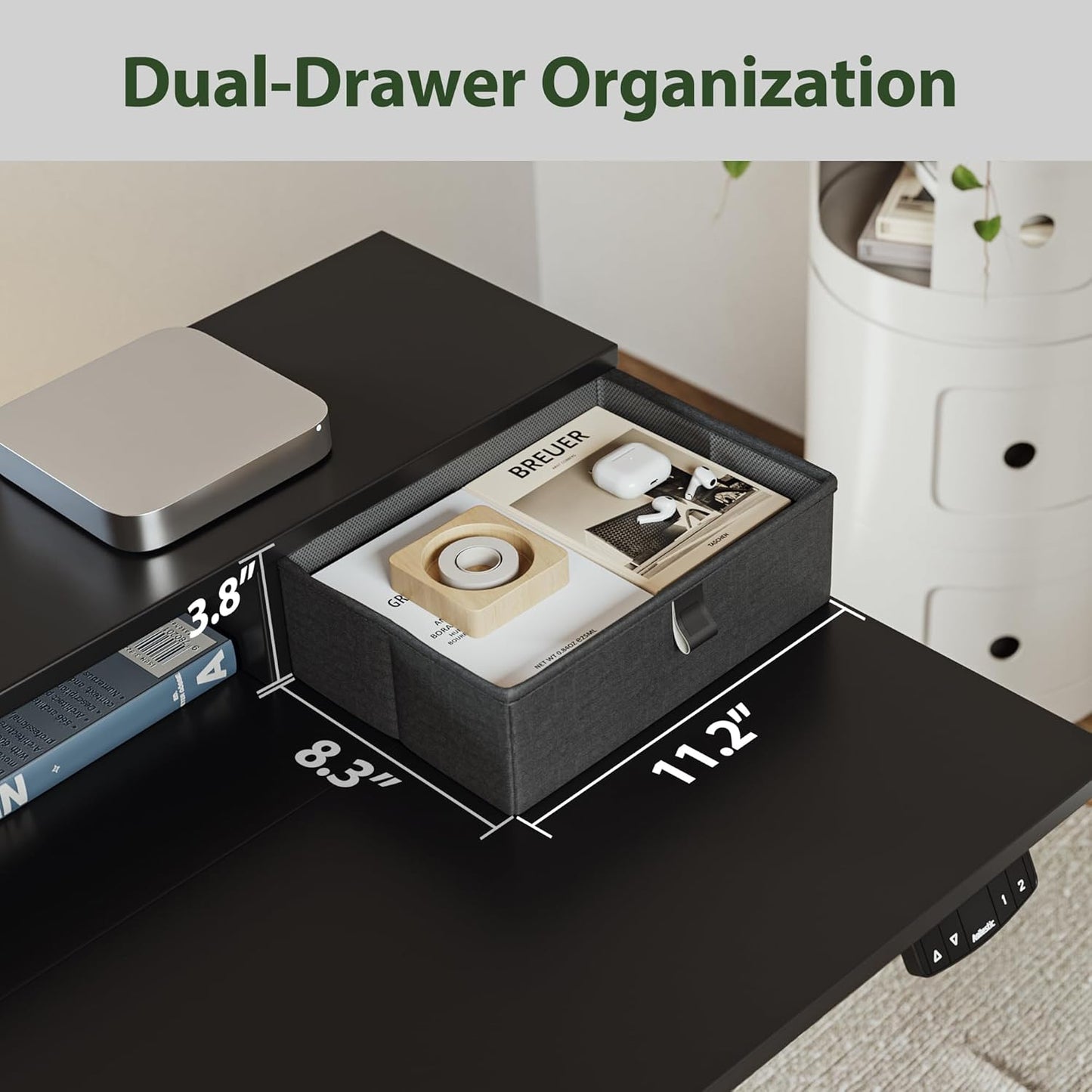 Agilestic Electric Standing Desk with 2 Drawers and Keyboard Tray, 48 x 23 Inches Ergonomic Adjustable Height Desk with Storage, Sit Stand Computer Workstation, Black