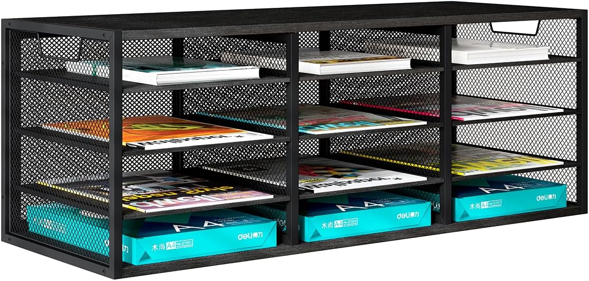 Mail Sorter Adjustable Countertop Heavy Duty Literature Organizer Student Mailbox for Classroom Desktop Bill Paper Holder Rack for Office Home School, 12 Compartments, Black