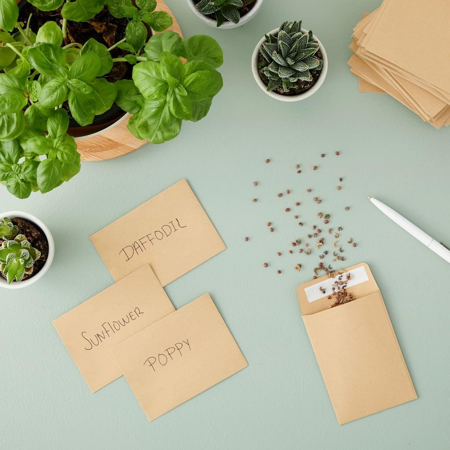 Juvale Seed Packets - 4.5 x 3.25 In, Brown, 100 Pack - Blank Seed Packets for Coins & Mini Parts Storage, DIY Craft Use