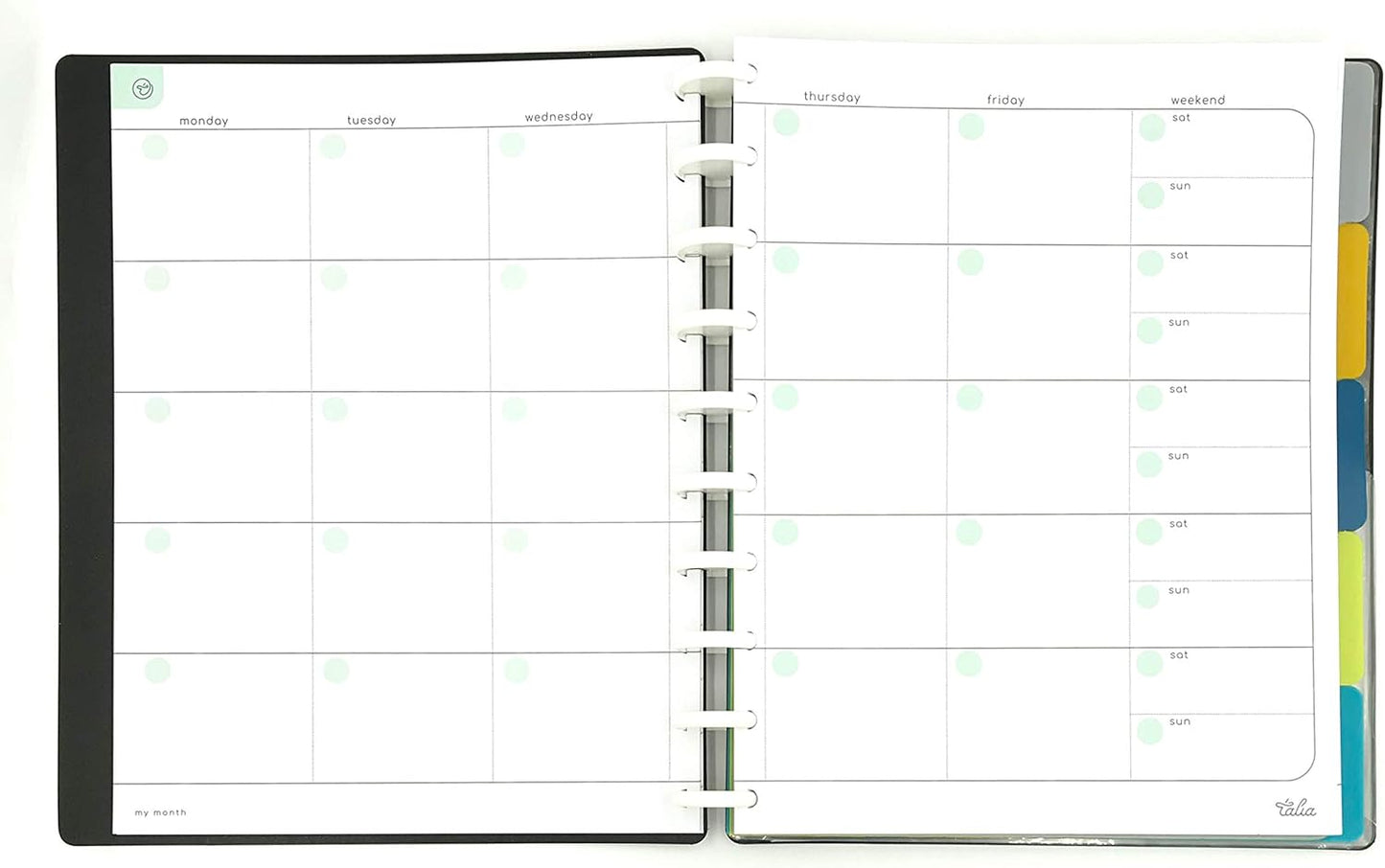 Talia Discbound Notebooks, Planner, Customizable, (Clear, Midsize (7.5in x 9.75in))
