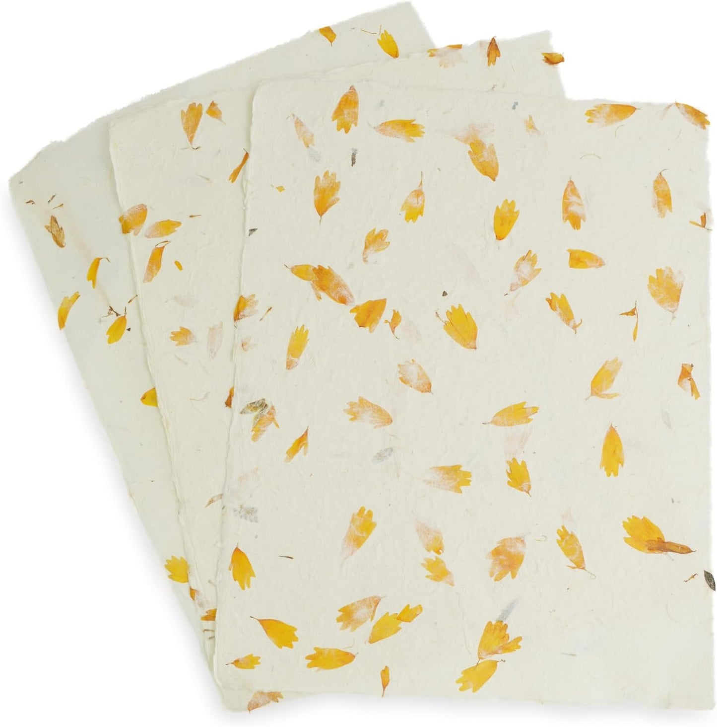 Handmade Lokta Laser and Inkjet Printer Paper with Deckle Edge 8.5x11 Inch Vintage Decorative Specialty Printing Paper (25 Sheets, Marigold)