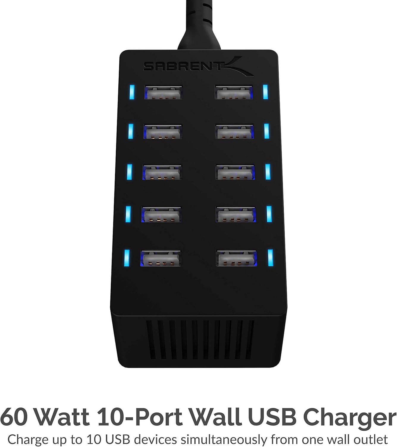 Sabrent 60 Watt (12 Amp) 10-Port [UL Certified] Family-Sized Desktop USB Rapid Charger. Smart USB Ports with Auto Detect Technology [Black] (AX-TPCS)