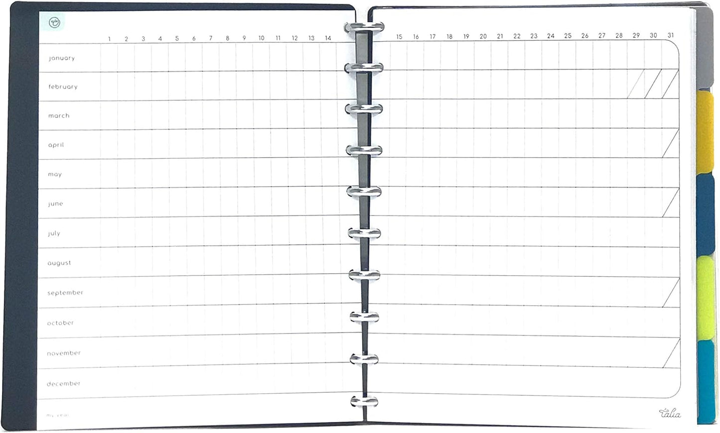 Talia Discbound Notebooks, Planner, Customizable, (yClear w/Silver Discs, Midsize (7.5in x 9.75in))