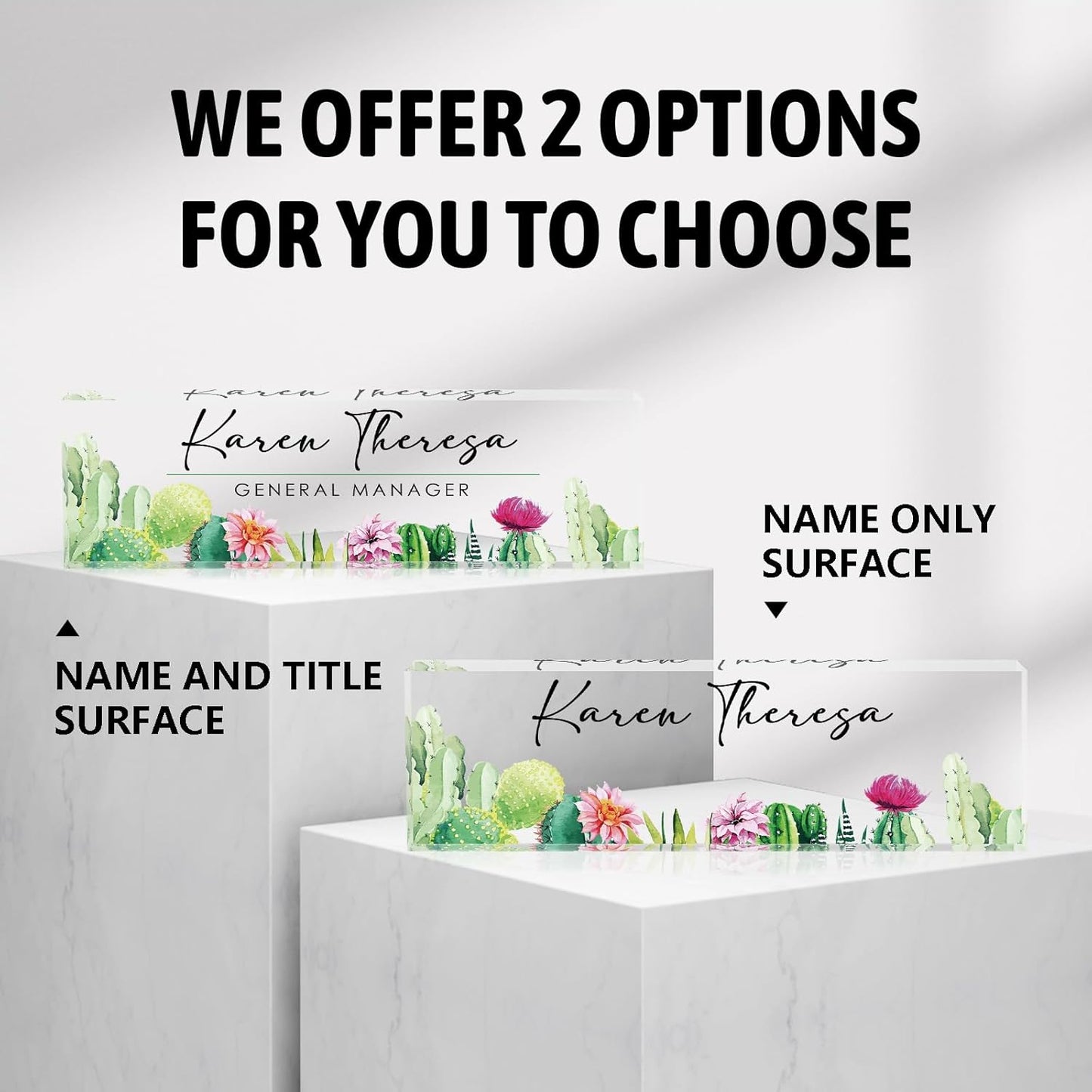 Custom Office Name Plate, Personalized Gifts for Women & Men, Appreciation Gifts for Employees, Office Desk Accessory (Cactus)