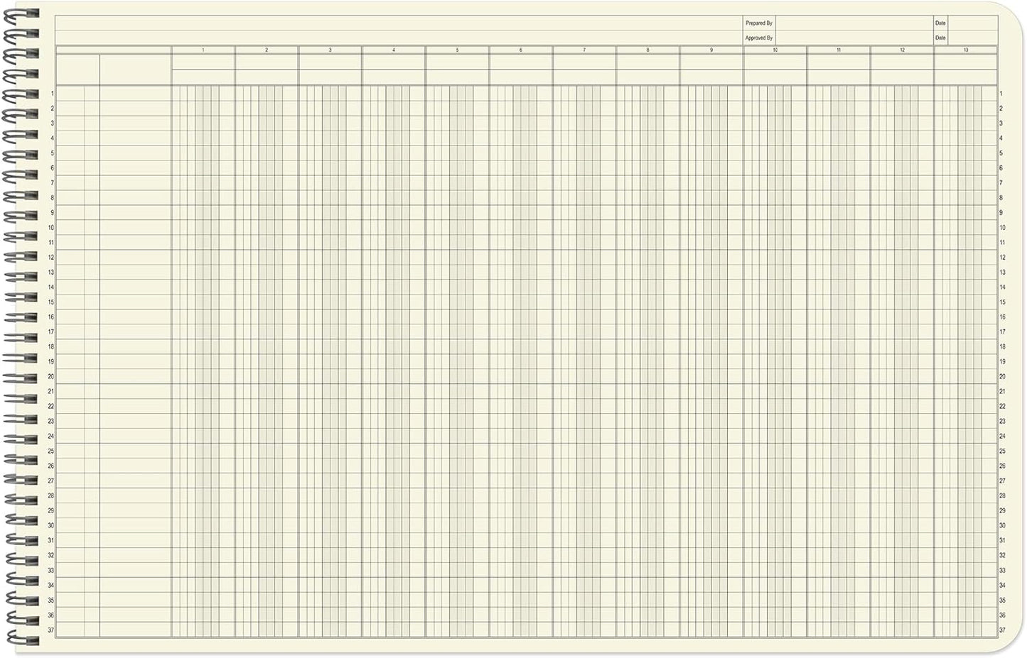 BookFactory Accounting Ledger Notebook/Large 13 Column Accounting Ledger Columnar (Thirteen Columns) Log Book - 17'' x 11'', 100 Pages, Wire-O Landscape Format (LED-100-CLCW-PP(17x11-Ledger-13)-AX)