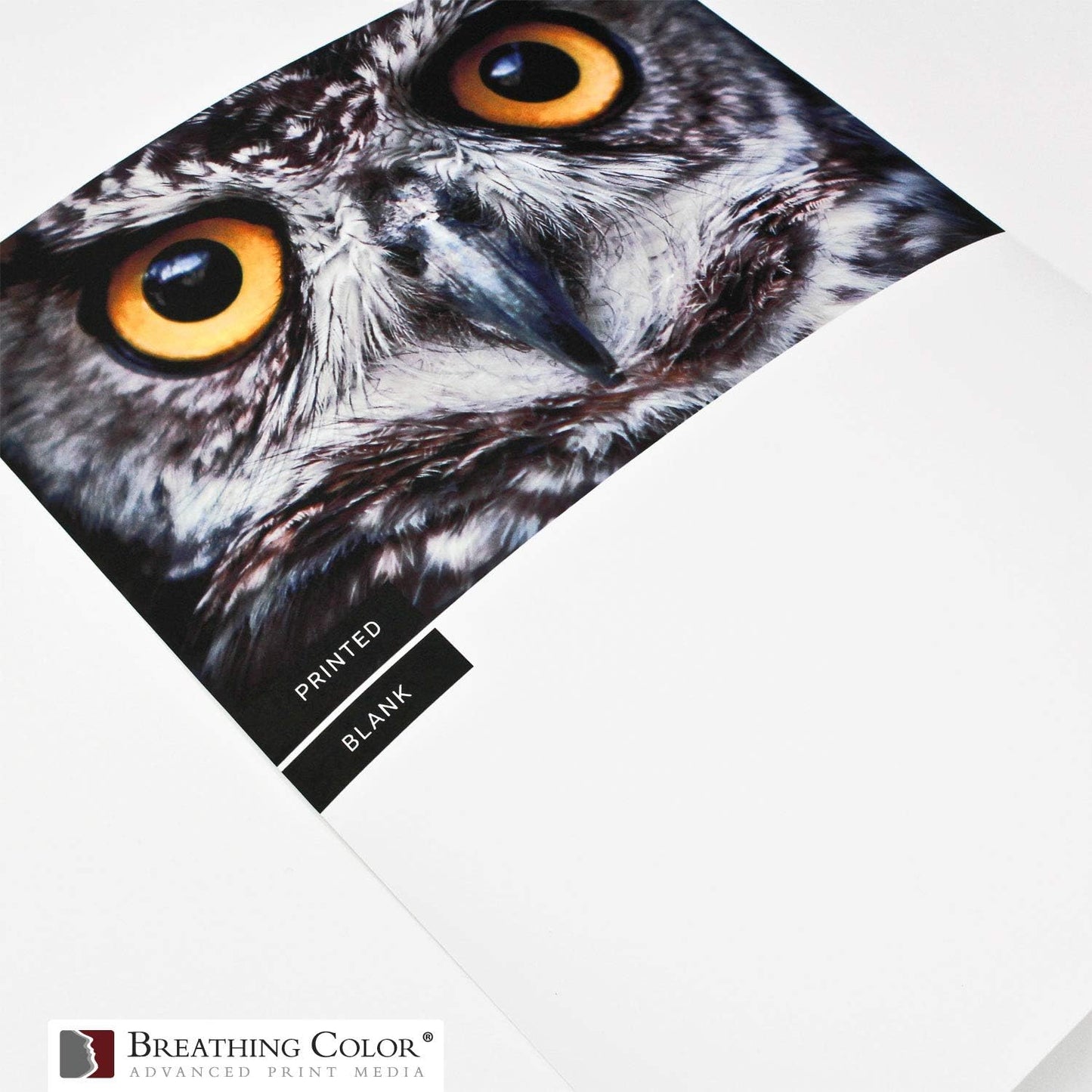 Vibrance Matte Photo Printer Paper 12 mil 230 gsm Matte Finish Premium Photo Paper Roll on 3in Core 44 inches x 100 ft Works with Most Inkjet Printer Professional Makes and Models Like Epson Canon HP