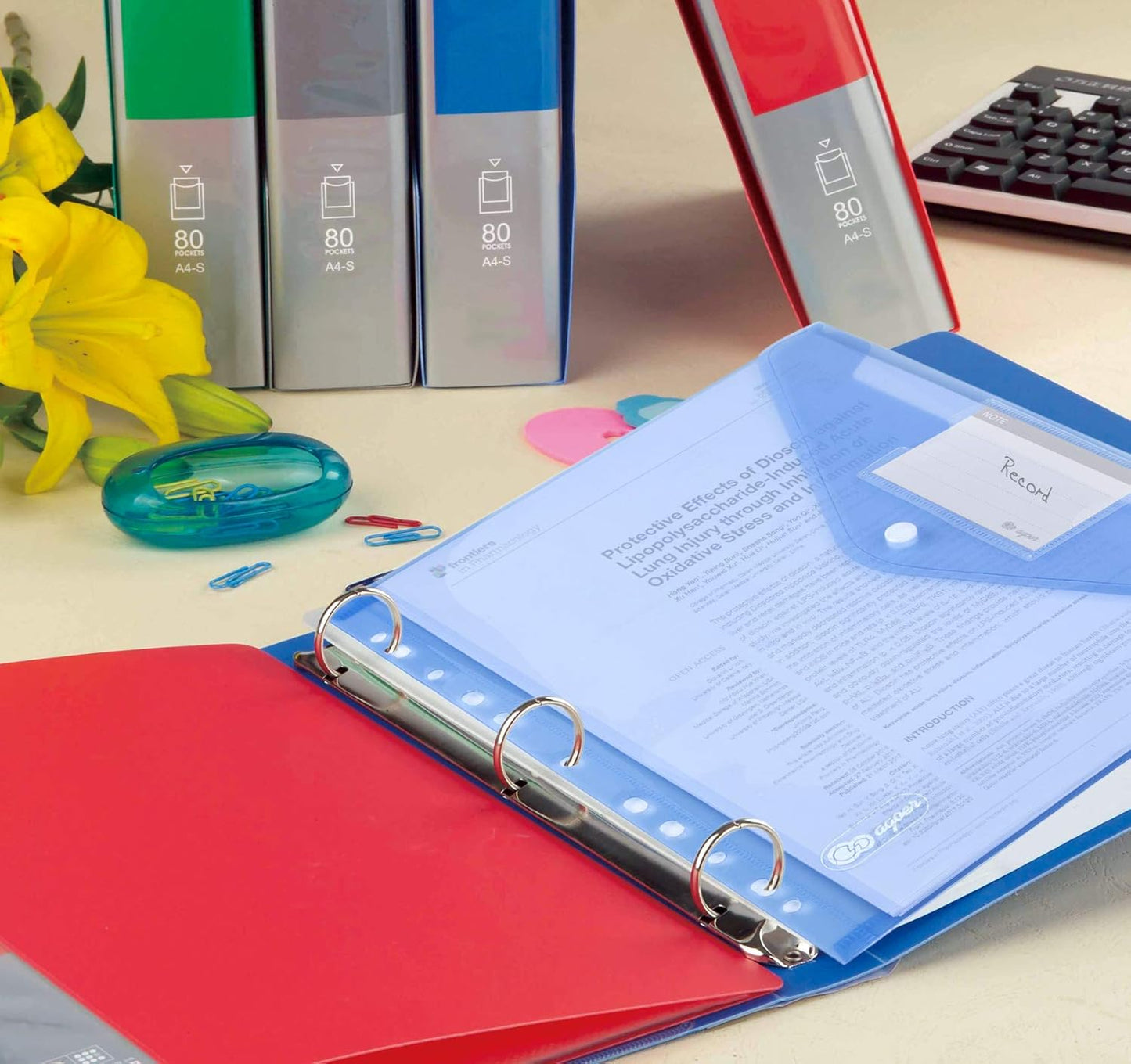 ABSOFINE 24 Pack Plastic Envelope Document Folders with Label Pocket and Snap Button for Home Work Office Organization, A4 Letter Size, Binder Pocket Folders for 11 Ring Binder, Assorted Colors