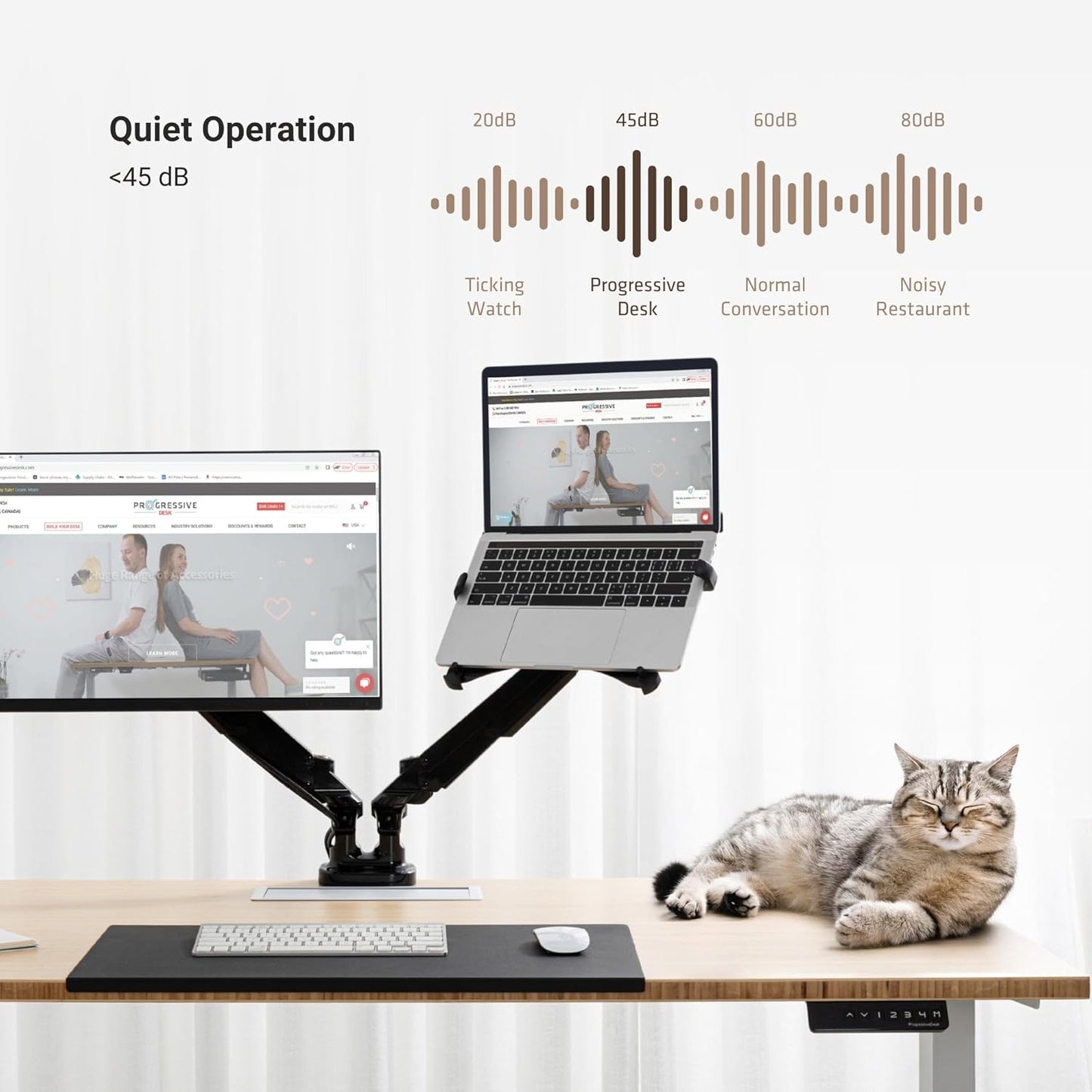 Progressive Desk Stand Up Height Adjustable Electric Standing Desk - 48" x 30" with Dual Motor, 3 Stages Sit Stand Table - Bright Beech, White Frame