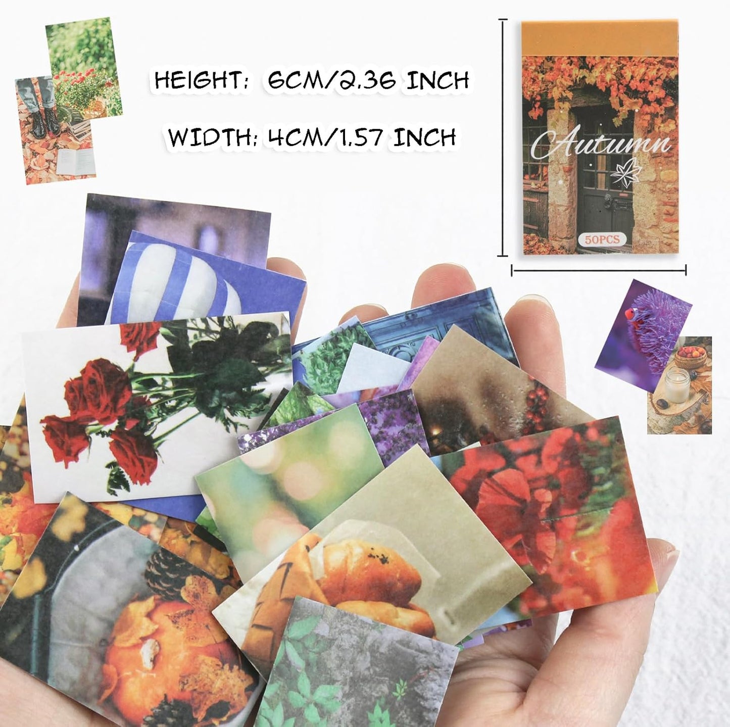 6 Sets 300 Pcs Washi Stickers Set Assorted Colors Aesthetic Sticker Book for Journaling, Daily Scenery Life Stuff Decorative Paper Sticker Decals for Scrapbooking Junk Journal Diary Album