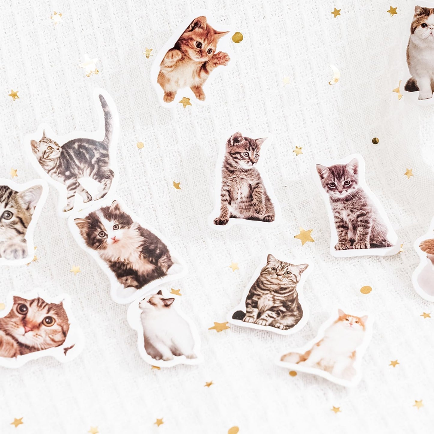 45 Pcs Small Cat Stickers for Scrapbook Kids Bullet Journal Notebook Planner Diary Collage Envelope Letter Laptop Water Case Bottle Phone DIY Craft Decoration