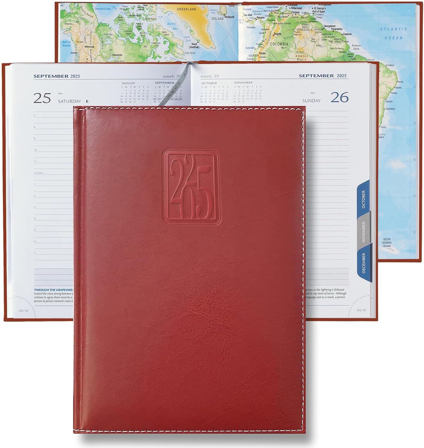 Daily Planner 2025 Page a Day – A5 Business Agenda 2025, Hourly Daily Planner 5x7, 365 Page Organizer with Monthly Tabs & Calendar, 2025 Diary for Men and Women (RED 2025)