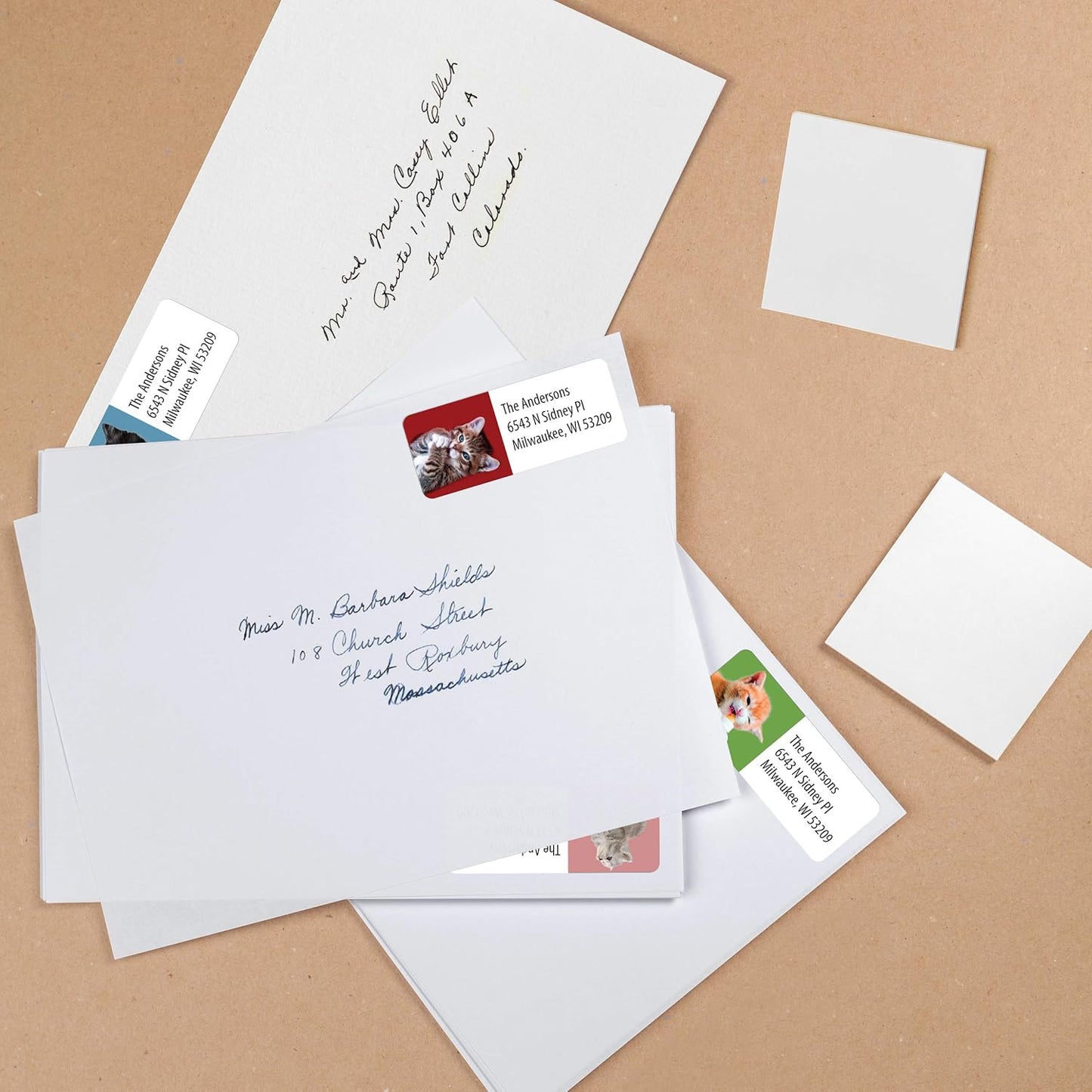 Customized Personalized Address Labels - Made in The USA by Kenco (500 Labels, Kittens)