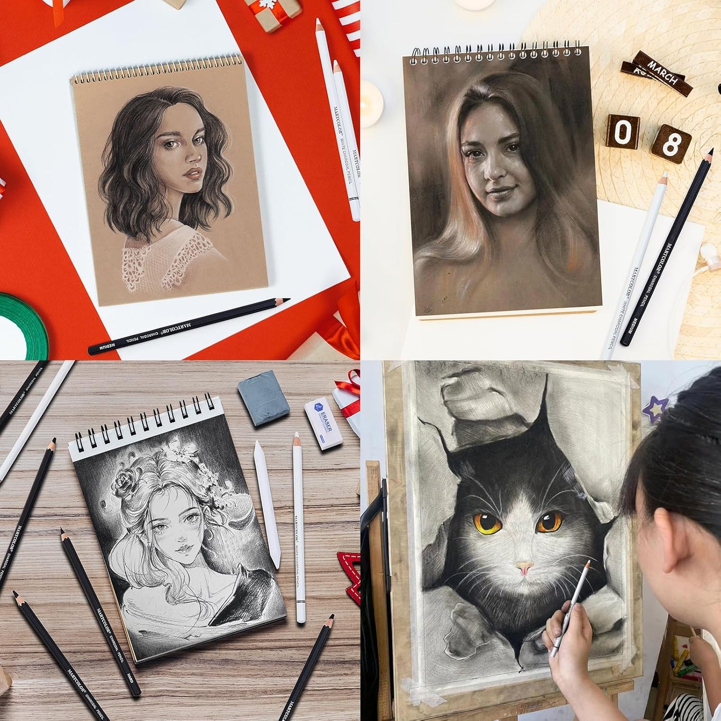 Charcoal Drawing Set, 19 Pieces, Black & White Charcoal Pencils for Drawing, Sketching, Shading, Blending, Artist Pencils for Beginners & Pro Artists