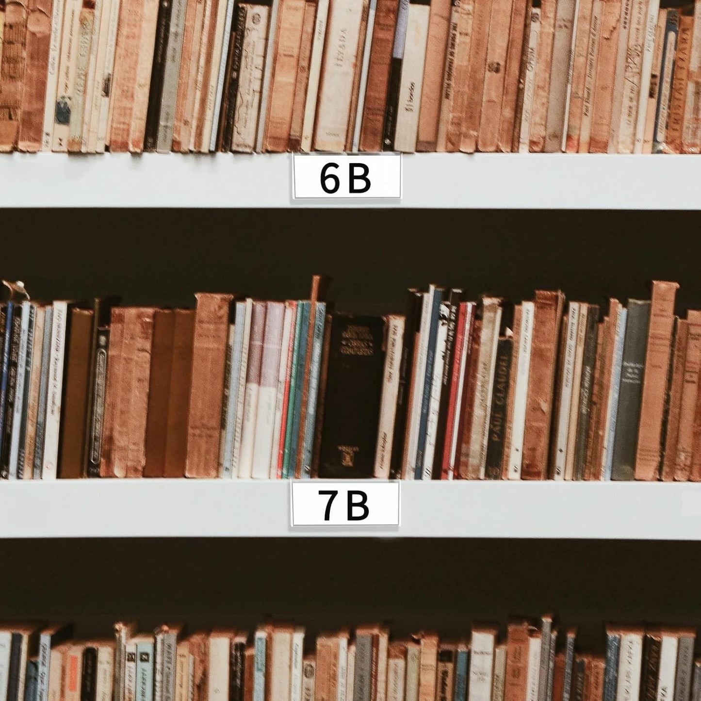 Acrylic Rigid Label Holders 1.25x3 inch 20 Pack for School Library Book Shelves Tags Office Warehouse Metal Shelf Labels with Magnetic Strip and Self-Adhesive Dots, Transparent Tabletop Price Sign