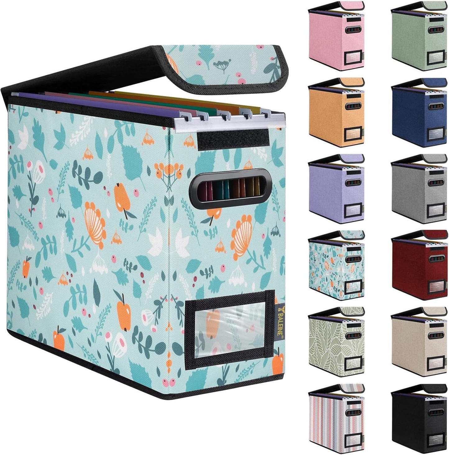 BALEINE File Organizer Box with Lid, Collapsible File Folder Organizer with Plastic Slide, Hanging File Folder Box for Office Document Storage (1 Pack, Spring Stroll, S)